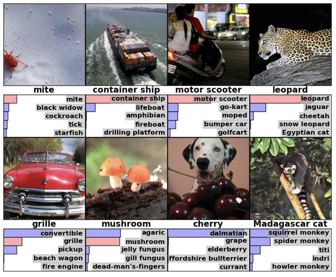 AlexNet predictions on 8 ImageNet images